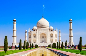 Pest Control Services in agra