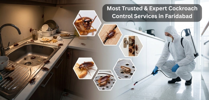 Cockroach Control