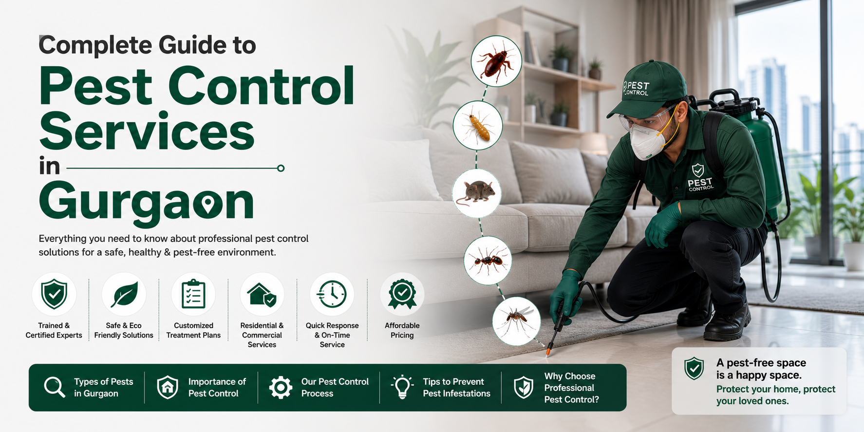 Guide to Pest Control Services in Gurgaon