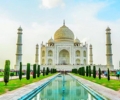 Pest Control Services in Agra