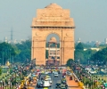 Pest Control Services in Delhi