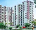 Pest Control Services in Dwarka