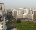 Pest Control Services in Ghaziabad