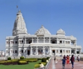 Pest Control Services in Mathura