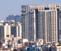 Pest Control Services in Noida