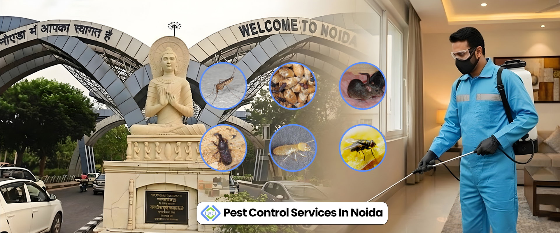 Pest Control Services in Noida with Budget-Friendly