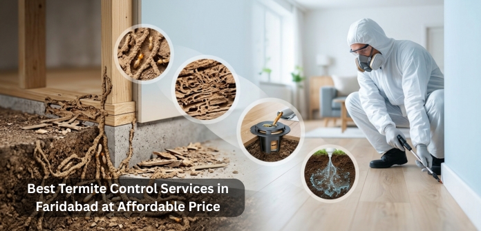 Termite Control